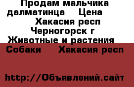 Продам мальчика далматинца! › Цена ­ 1 000 - Хакасия респ., Черногорск г. Животные и растения » Собаки   . Хакасия респ.